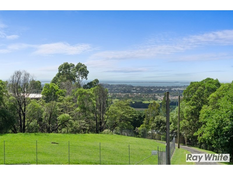150 Smiths Lane, Wongawilli NSW 2530