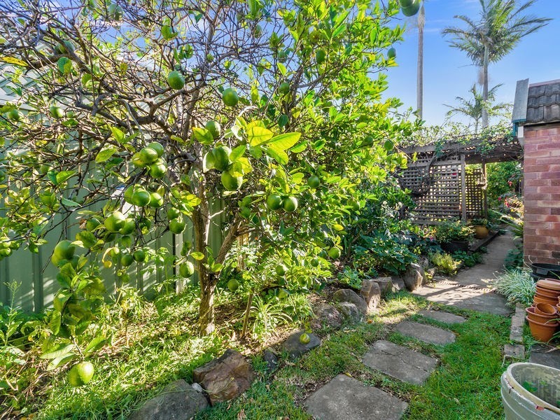 430 Princes Highway, Corrimal NSW 2518