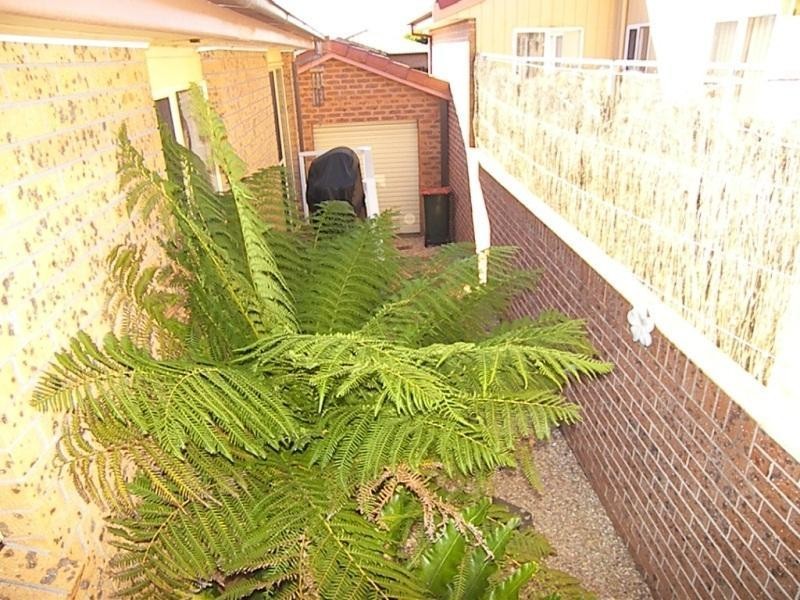 30 Ashmore Crescent, Kanahooka NSW 2530