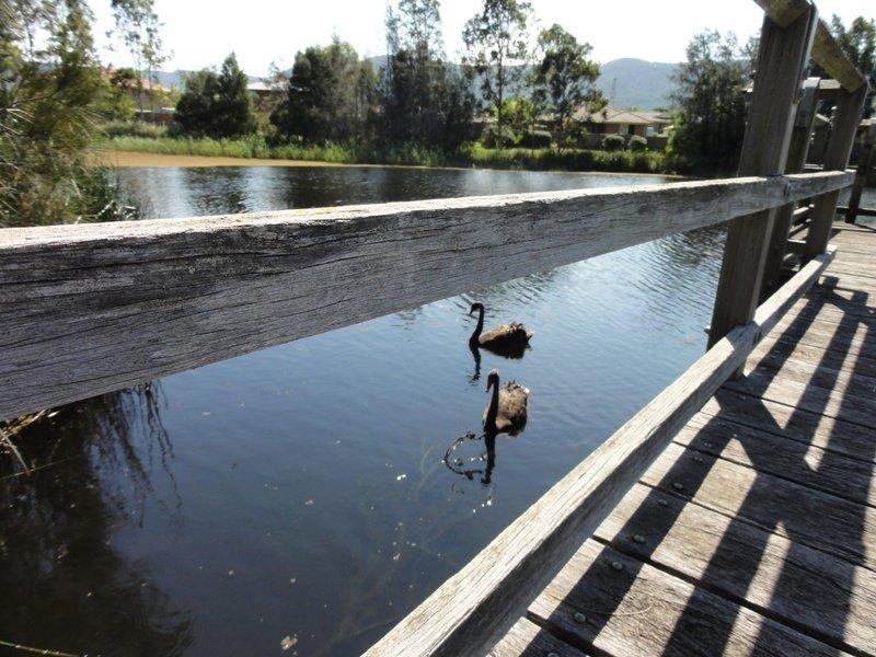 2 Dombarton Place,, Horsley NSW 2530