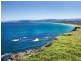 52 Dovers Drive, Port Kembla NSW 2505
