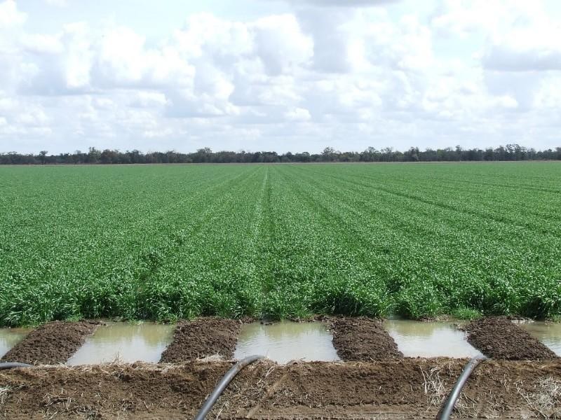 ‘ Talmoi Road, Garah NSW 2405