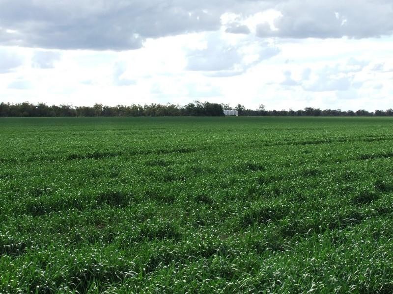 ‘ Talmoi Road, Garah NSW 2405