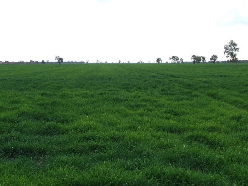 ‘ Talmoi Road, Garah NSW 2405