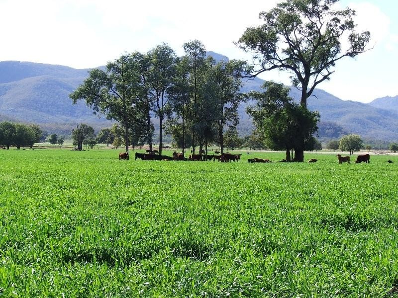 Narrabri NSW 2390