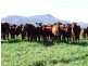 Narrabri NSW 2390