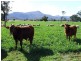 Narrabri NSW 2390