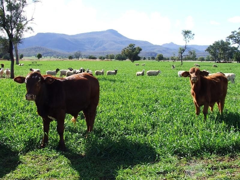 Narrabri NSW 2390