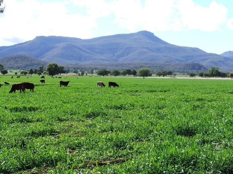 Narrabri NSW 2390
