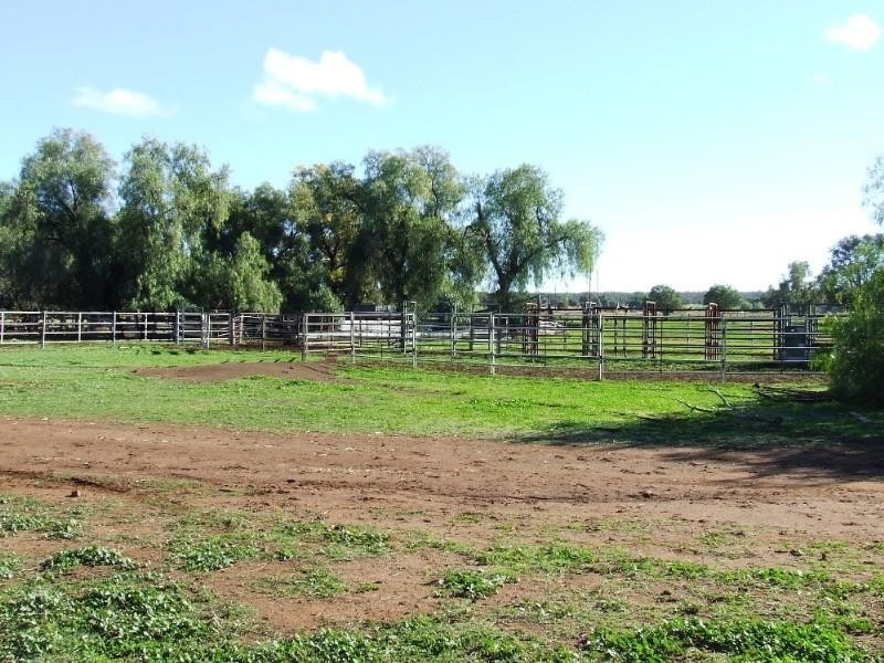 Narrabri NSW 2390