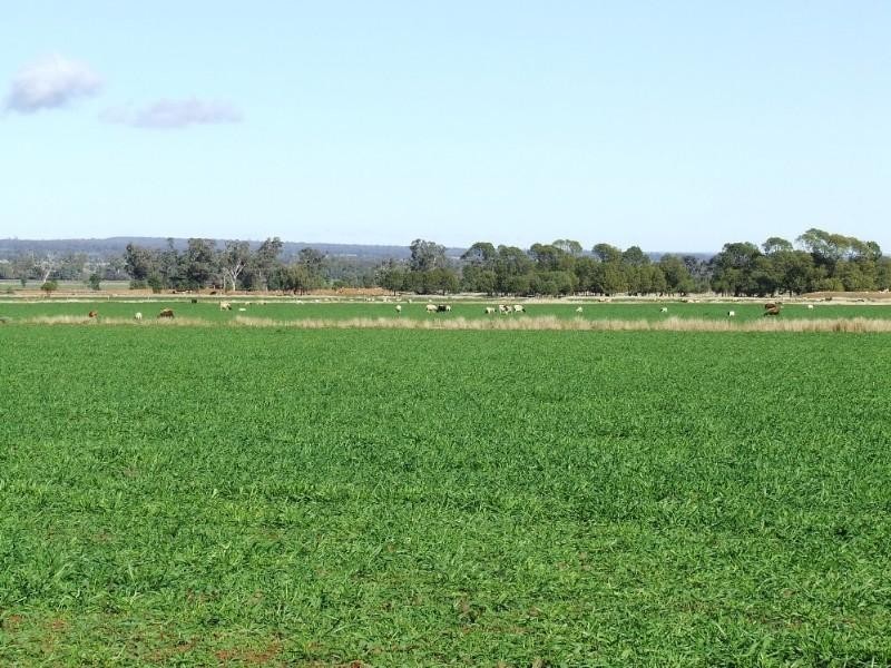 Narrabri NSW 2390