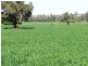 Narrabri NSW 2390