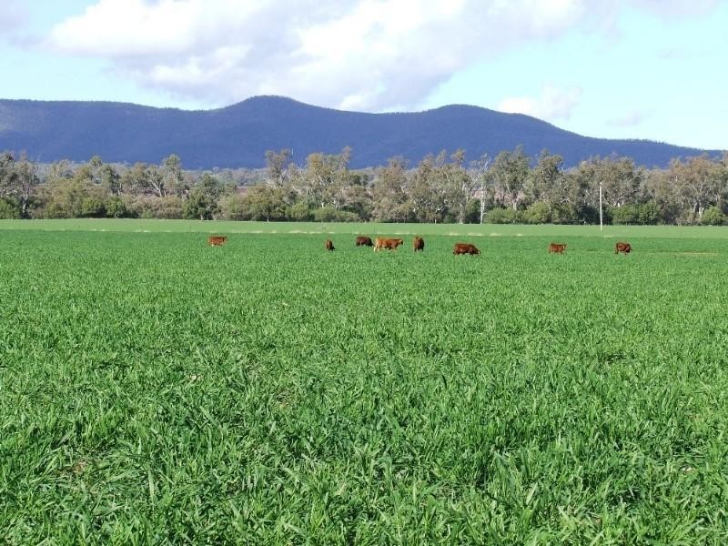 Narrabri NSW 2390
