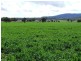 Narrabri NSW 2390