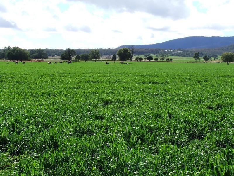 Narrabri NSW 2390