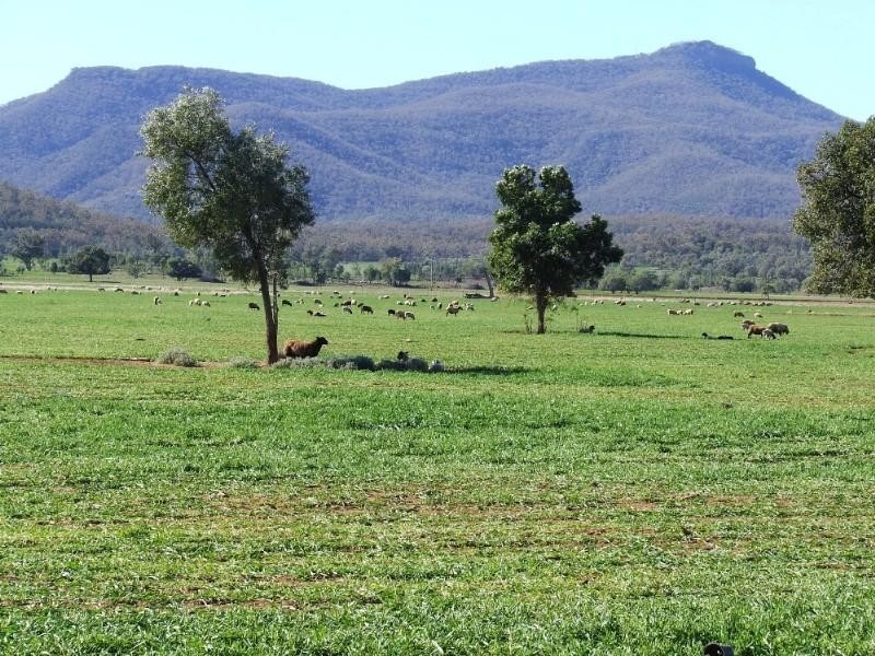 Narrabri NSW 2390