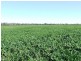 Narrabri NSW 2390