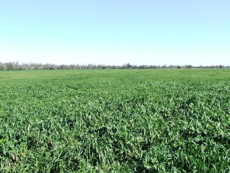 Narrabri NSW 2390