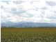 Narrabri NSW 2390