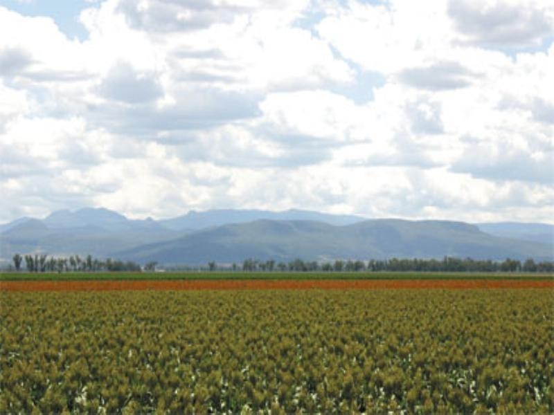 Narrabri NSW 2390