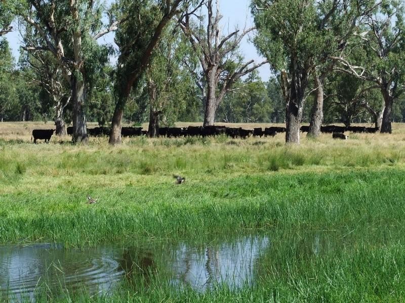 Narrabri NSW 2390