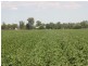 Narrabri NSW 2390