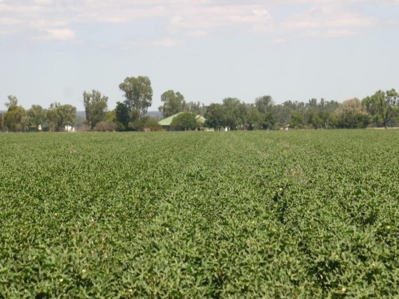 Narrabri NSW 2390