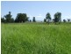 Narrabri NSW 2390