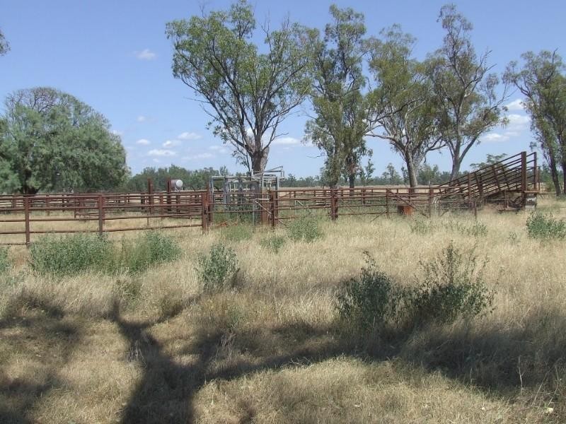 Narrabri NSW 2390
