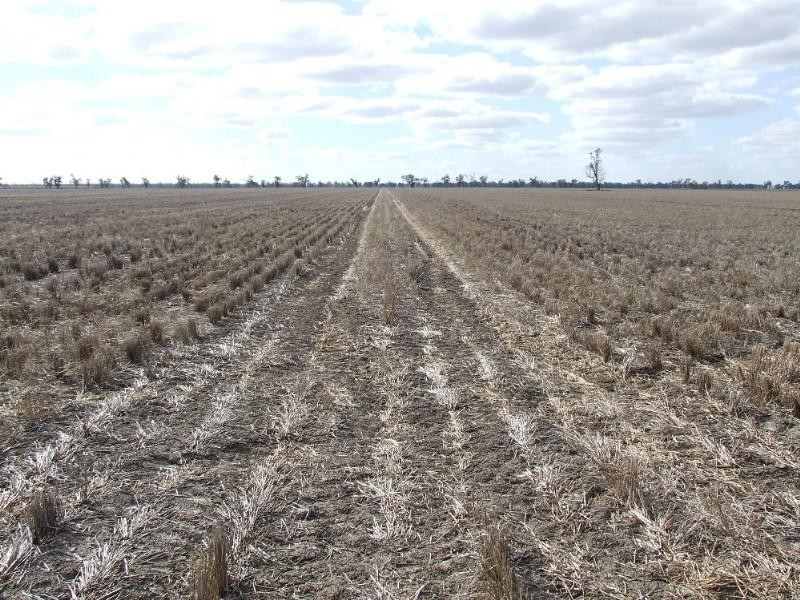 6 Spongs Lane, Burren Junction NSW 2386