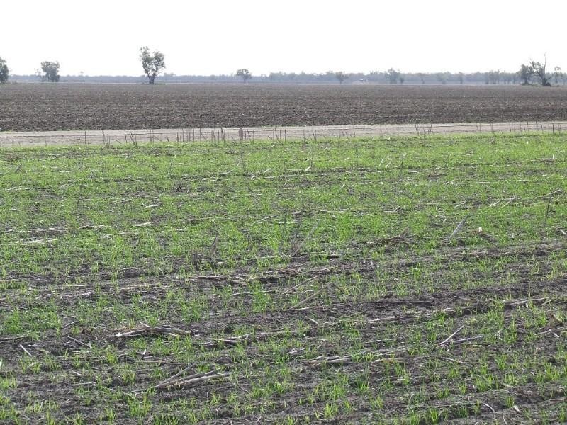 6 Spongs Lane, Burren Junction NSW 2386