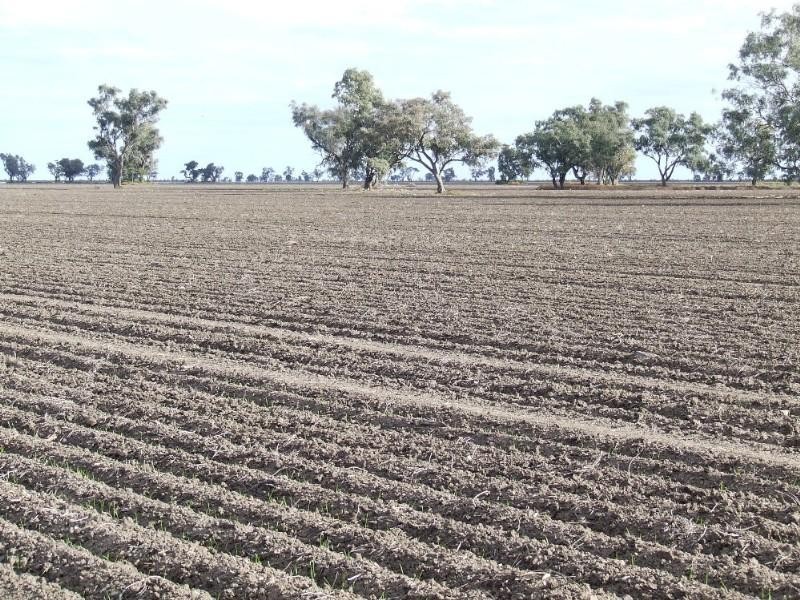 6 Spongs Lane, Burren Junction NSW 2386