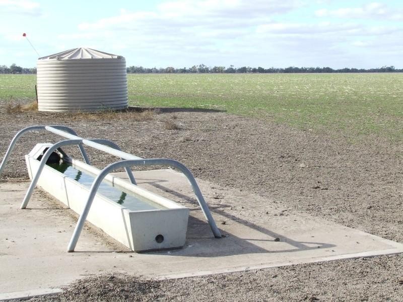 6 Spongs Lane, Burren Junction NSW 2386