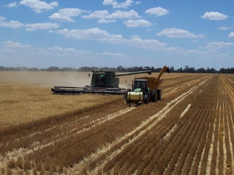 - Warren Quambone Road, Warren NSW 2824