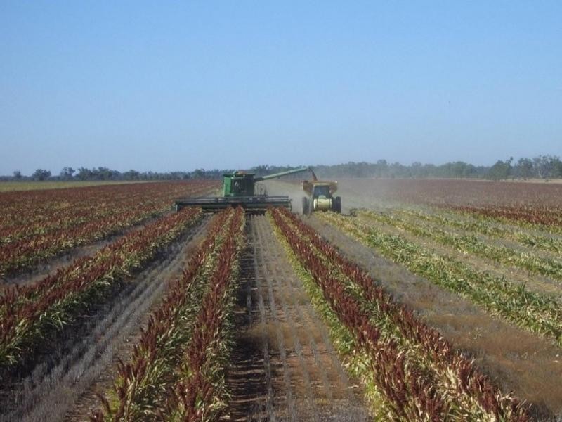 - Warren Quambone Road, Warren NSW 2824