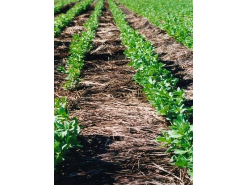 - Warren Quambone Road, Warren NSW 2824