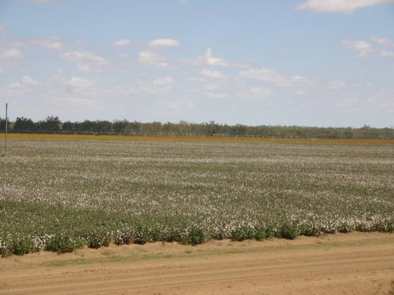 - Warren Quambone Road, Warren NSW 2824