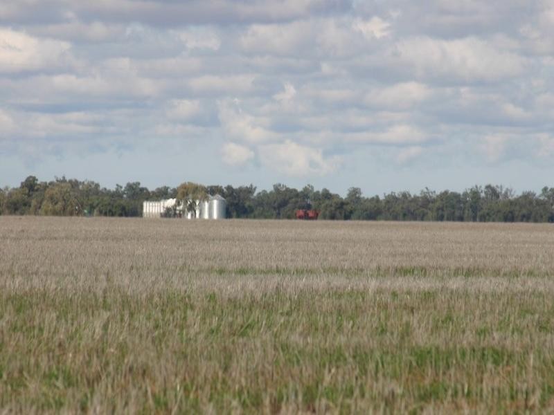 - Warren Quambone Road, Warren NSW 2824