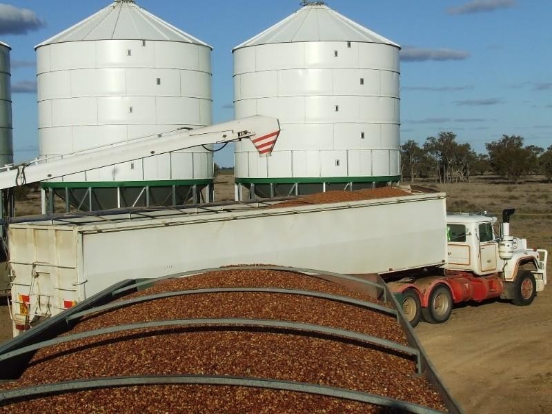 - Rowena Road, Collarenebri NSW 2833