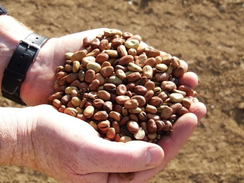 - Rowena Road, Collarenebri NSW 2833