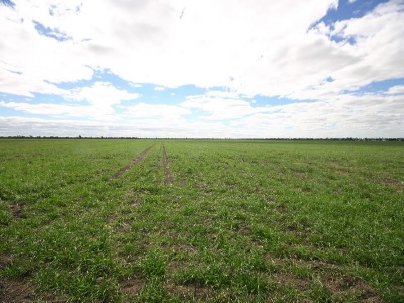 - Rowena Road, Collarenebri NSW 2833