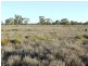 - Rowena Road, Collarenebri NSW 2833
