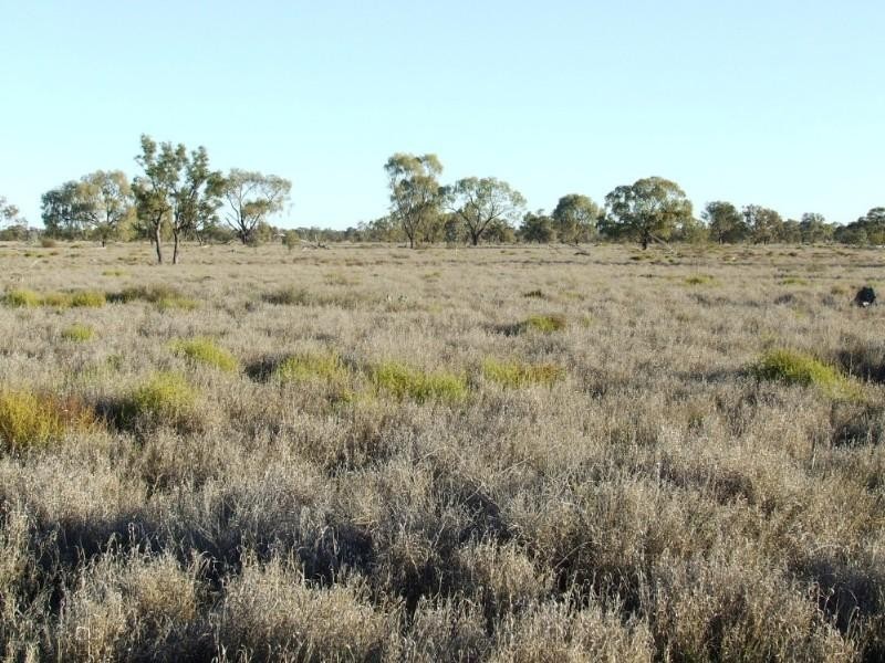 - Rowena Road, Collarenebri NSW 2833