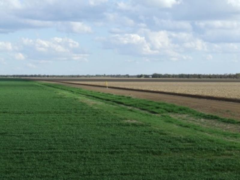 “Meeleebee” Talmoi Road, Garah NSW 2405