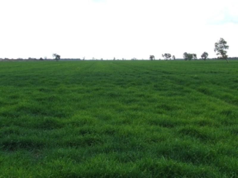 “Meeleebee” Talmoi Road, Garah NSW 2405