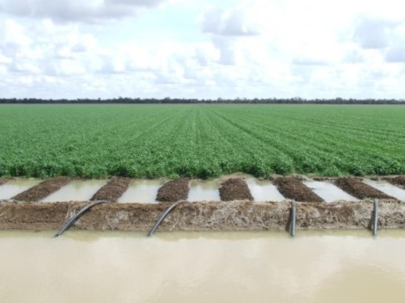 “Meeleebee” Talmoi Road, Garah NSW 2405