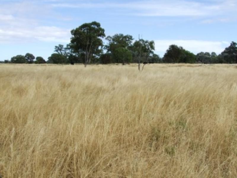 “Tharlane” 84 Tharlane Road, Wee Waa NSW 2388