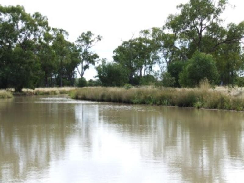 “Tharlane” 84 Tharlane Road, Wee Waa NSW 2388