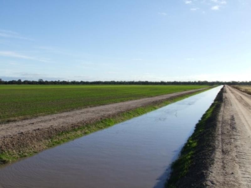 “Tharlane” 84 Tharlane Road, Wee Waa NSW 2388