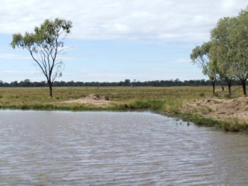 “Tharlane” 84 Tharlane Road, Wee Waa NSW 2388